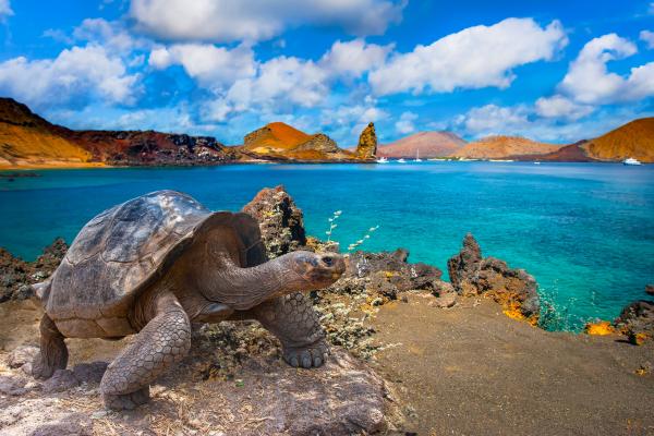 EQUATEUR & GALAPAGOS