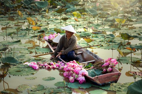 VIETNAM