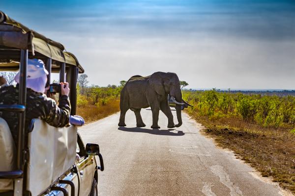 AFRIQUE DU SUD