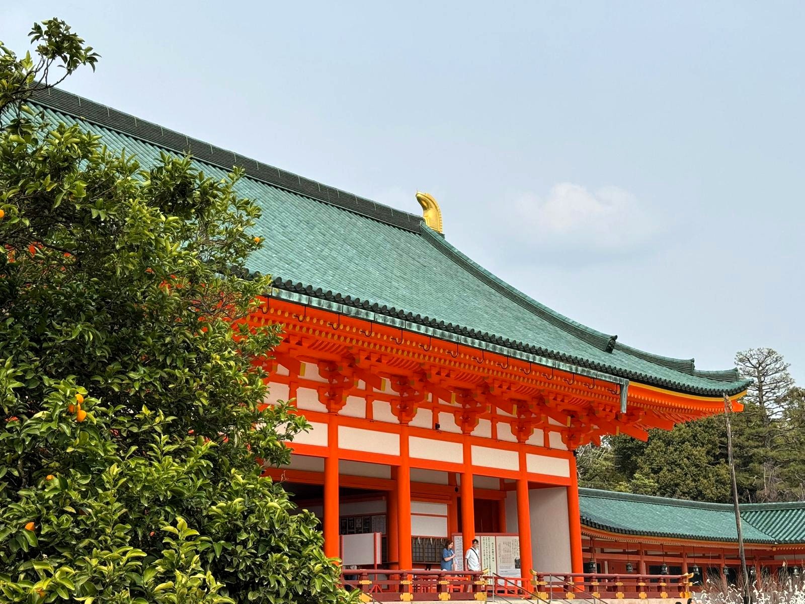 JAPON