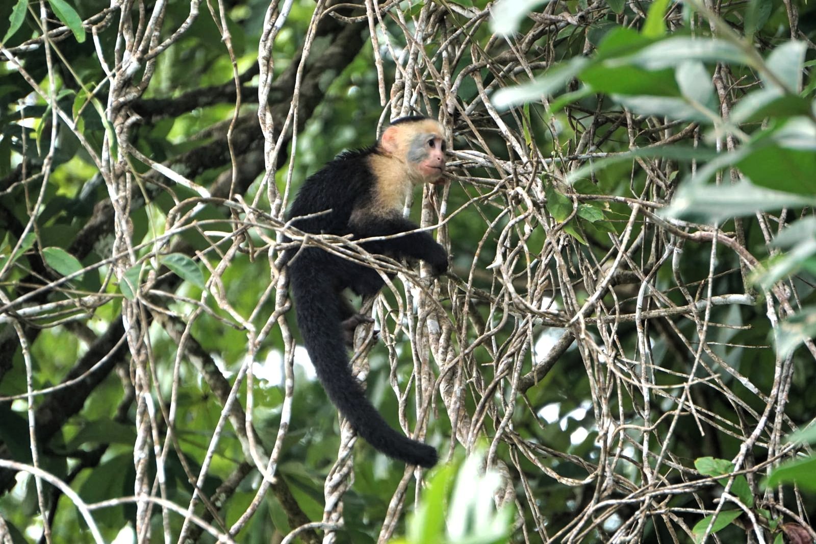 COSTA RICA