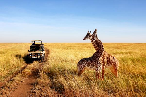TANZANIE & ZANZIBAR