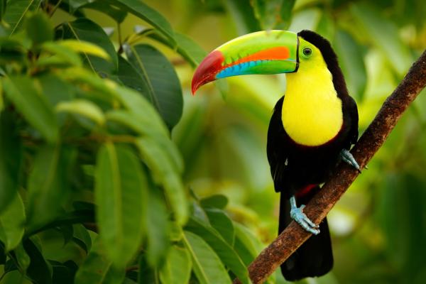 COSTA RICA